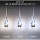 Beyond Hibiscus LED 5.5 inch Polished Nickel Multi-Light Pendant Ceiling Light, Linear Canopy
