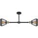 Franklin Restoration Fulton 2 Light 21 inch Black Antique Brass Chandelier Ceiling Light in Plated Smoke Glass, Franklin Restoration