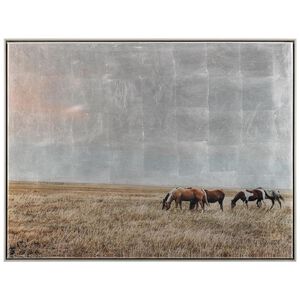 Freedom on the Range Wall Art