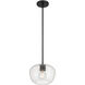 Pomari 1 Light 9.75 inch Matte Black Pendant Ceiling Light