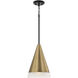 Avant 1 Light 9.75 inch Aged Brass and Black Pendant Ceiling Light