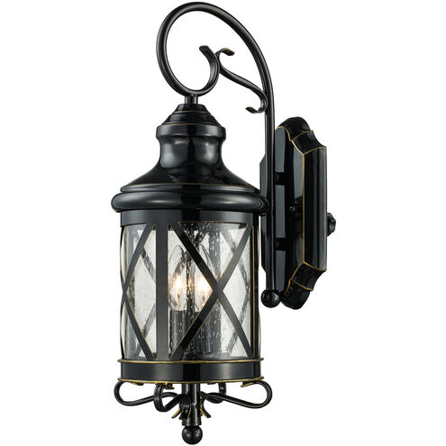 Chandler 2 Light 20 inch Rubbed Oil Bronze Outdoor Wall Lantern 