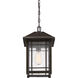 Cedar Point 1 Light 10 inch Palladian Bronze Outdoor Hanging Lantern