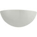 Ambiance LED 10.5 inch Matte White Wall Sconce Wall Light