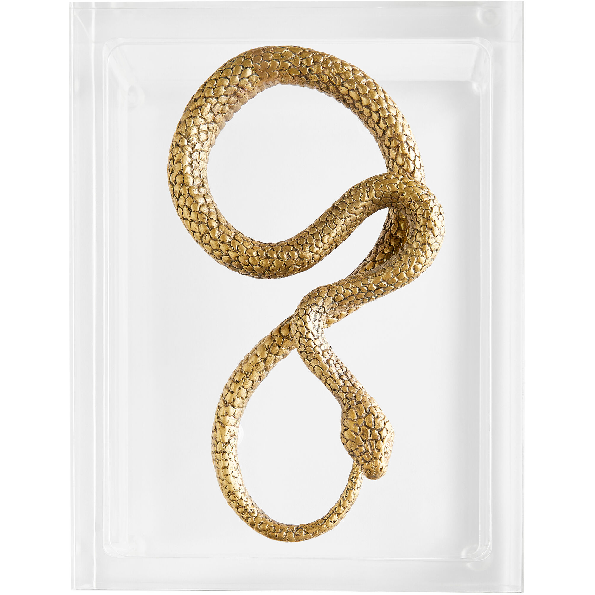 Snake 8.25 X 7 inch Clear and Brass Box