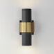 Reveal Outdoor LED 12 inch Black and Gold Outdoor Wall Mount