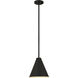 Eaton 1 Light 12 inch Matte Black Pendant Ceiling Light