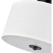 Guyten 2 Light 13 inch Matte Black Indoor Semi-Flush Ceiling Light