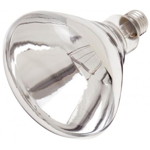 Lumos Incandescent R40 Medium E26 250 watt 120V 2700K Light Bulb