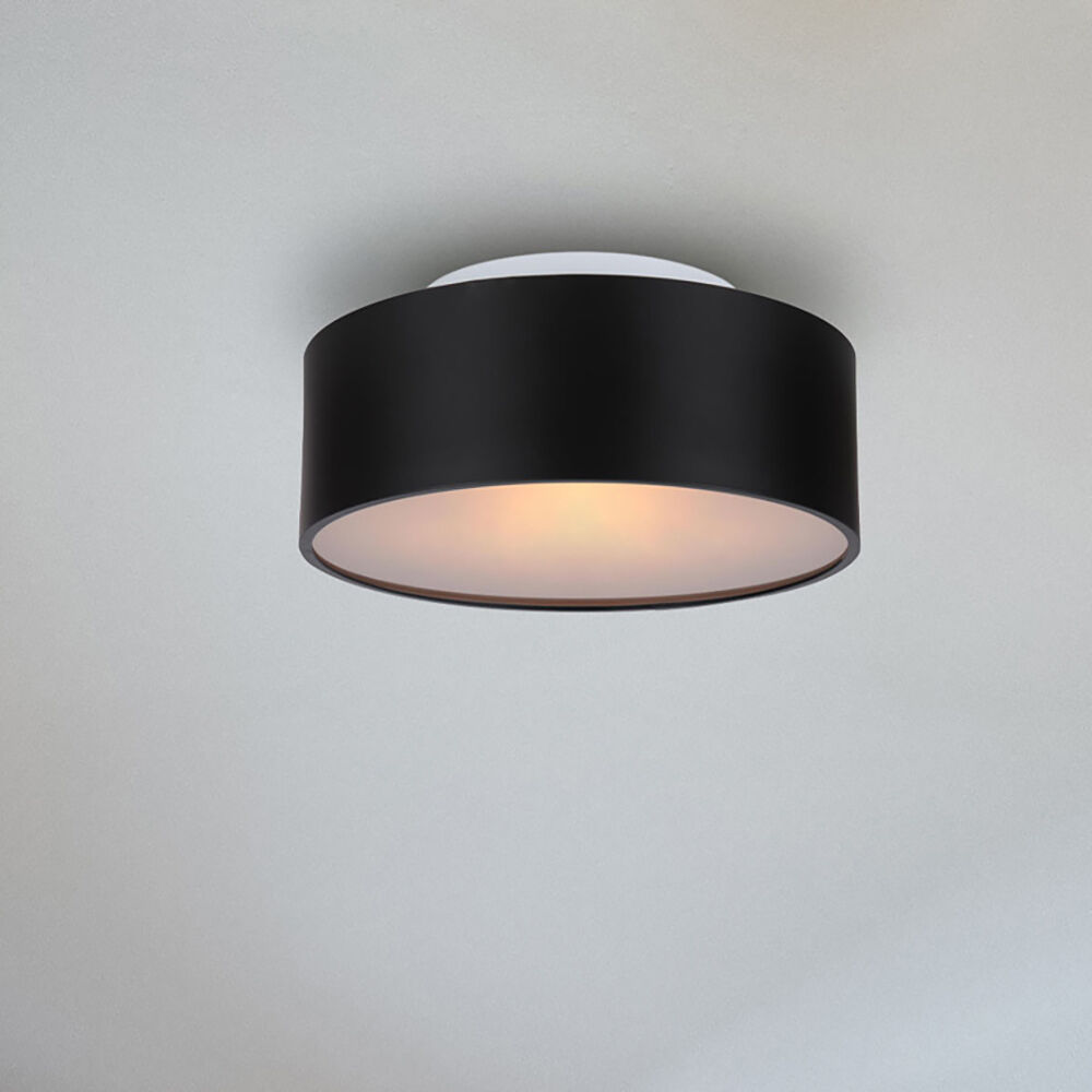 Dexter 2 Light 13 inch Matte Black Flush Mount Ceiling Light