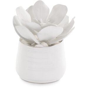 Leah White Decorative Plant
