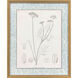 Botanical Sketch III Gray and Beige and Neutral and Sepia Framed Art