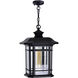 Blackburn 1 Light 9 inch Black Outdoor Hanging Light