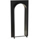 Larcin 74 X 36 inch Matte Black Mirror