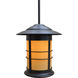 Newport 1 Light 13.75 inch Satin Black Pendant Ceiling Light in Frosted