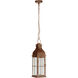 Vincent 1 Light 7.00 inch Outdoor Pendant/Chandelier