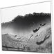 Photography Collection Black Canvas