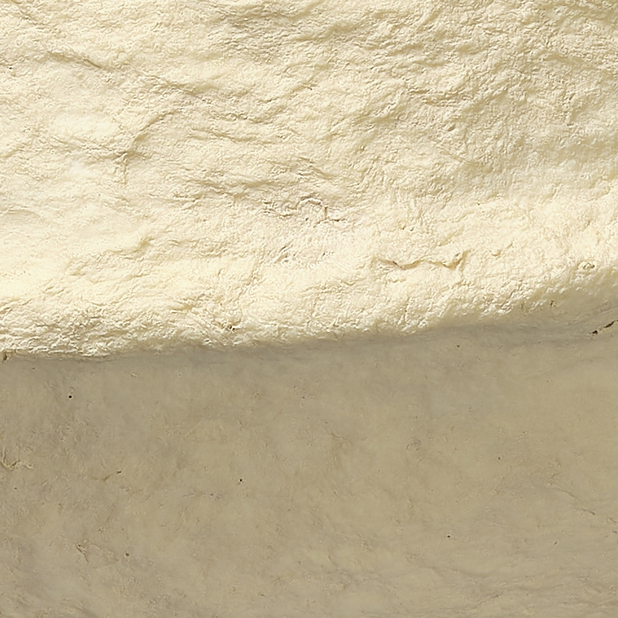 Field 13.25 X 7.75 inch Bowl in Cream