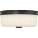 Daniella 11.25 inch Matte Black Flush Mount Ceiling Light