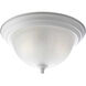 Skeet 2 Light 13 inch White Flush Mount Ceiling Light