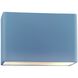 Ambiance Outdoor Wall Sconce