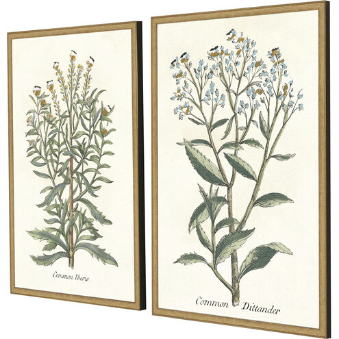 Botanical Plants Green and Multi and Neutral and Yellow Framed Art