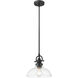 Virginia 1 Light 10 inch Matte Black Pendant Ceiling Light