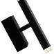 Dragonswatch LED 4.3 inch Black Wall Light