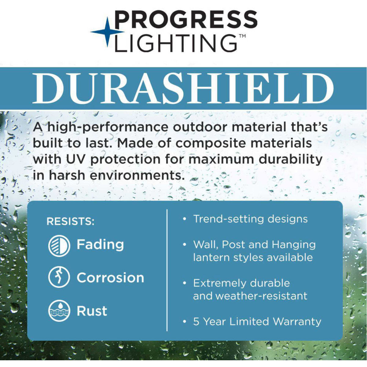 Port Royal 1 Light 6 inch Textured Black Outdoor Hanging Lantern, with DURASHIELD