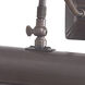 Leo 80 watt 14 inch Dark Bronze Picture Light Wall Light