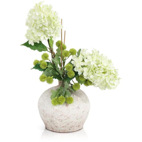 Woodland Hydrangeas Botanical/Floral