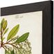 Florals Collection Green Framed Art