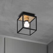 Outdoor Ceiling Lights