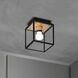Caged Wet 1 Light 6.81 inch Outdoor Ceiling Light