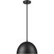 Vega 1 Light 12 inch Matte Black Pendant Ceiling Light