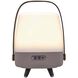 Lite Up Play Mini 11.75 X 7.5 inch Earth Light Brown Taupe Portable Speaker Lamp in Earth Light Brown/Taupe, Kooduu