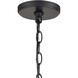 Barrow 6 Light 22 inch Birchwood with Matte Black Chandelier Ceiling Light