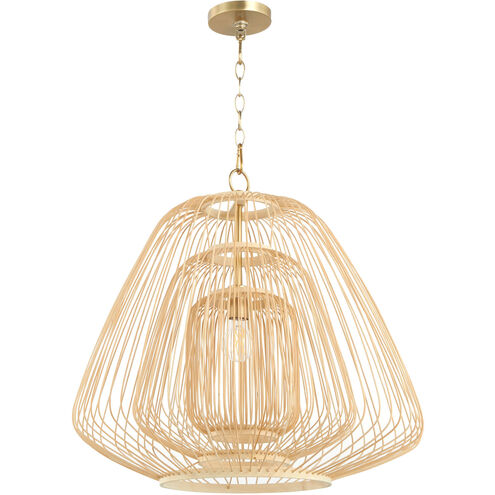 Terrae 1 Light 23.25 inch Aged Brass Pendant Ceiling Light, Triangular