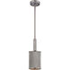 Corrugated Steel 1 Light 6 inch Weathered Zinc with Polished Nickel Mini Pendant Ceiling Light