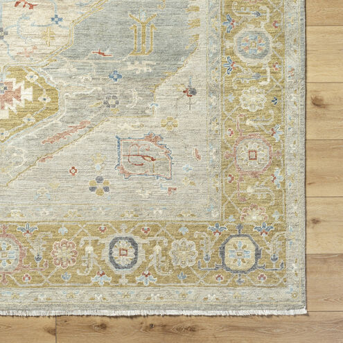 Anatolia 36 X 24 inch Light Olive / Gray / Burgundy / Camel / Olive Handmade Rug in 2 x 3
