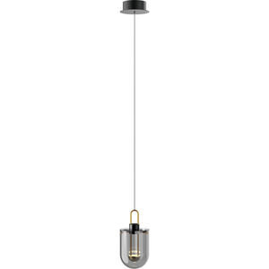 Century 1 Light 6 inch Satin Dark Gray Pendant Ceiling Light in Smoke Acrylic