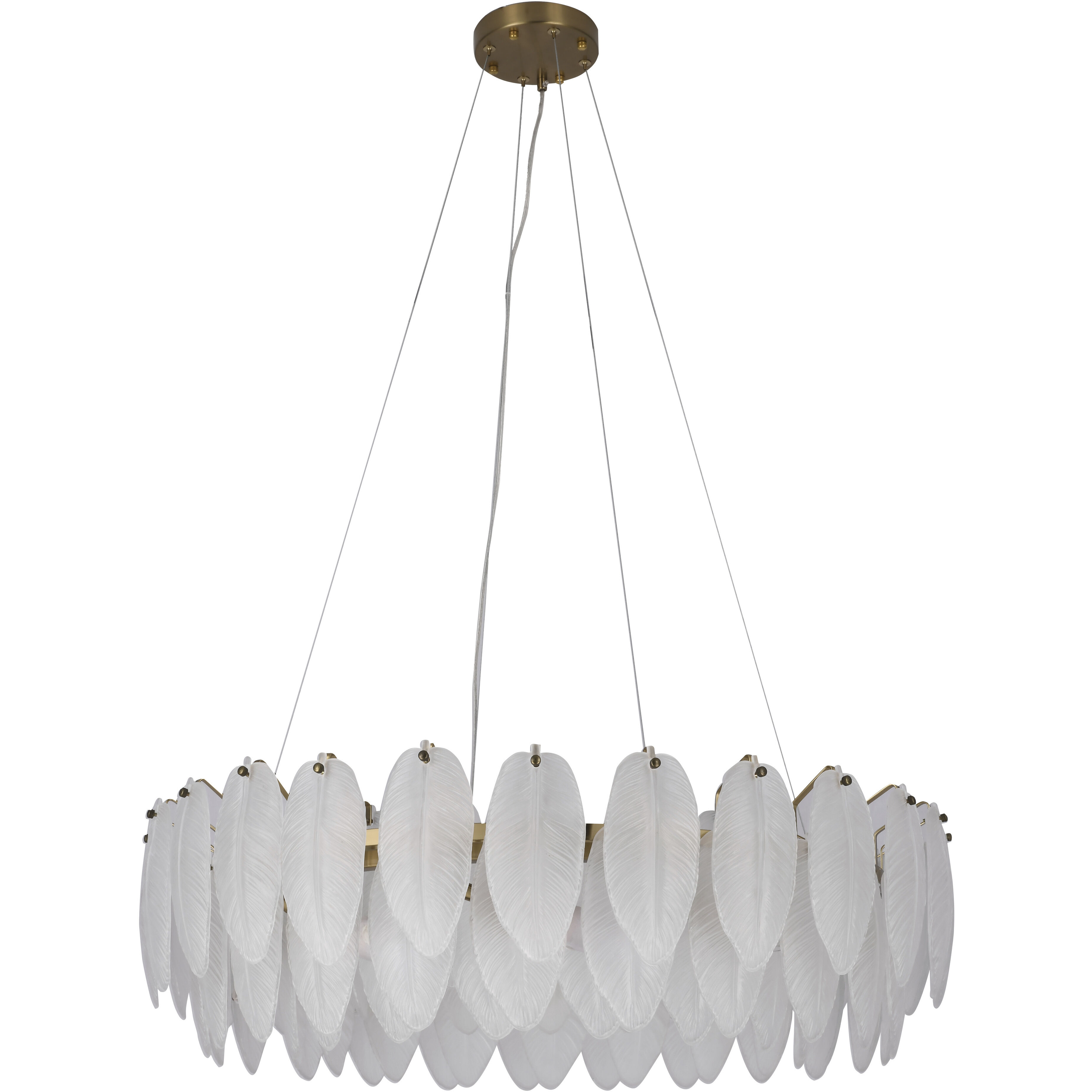 Canada 20 Light 31.5 inch Brass Chandelier Ceiling Light