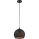 Dublin 1 Light 10 inch Bronze with Antique Brass Accents Pendant Ceiling Light