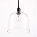 Codorus 1 Light 10 inch Black Pendant Ceiling Light