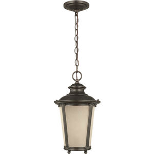 Cape May 1 Light 9 inch Burled Iron Outdoor Pendant