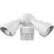 LED 10.00 inch Outdoor Wall Light