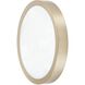Argyle LED 12 inch Champagne Gold Flush Mount Ceiling Light