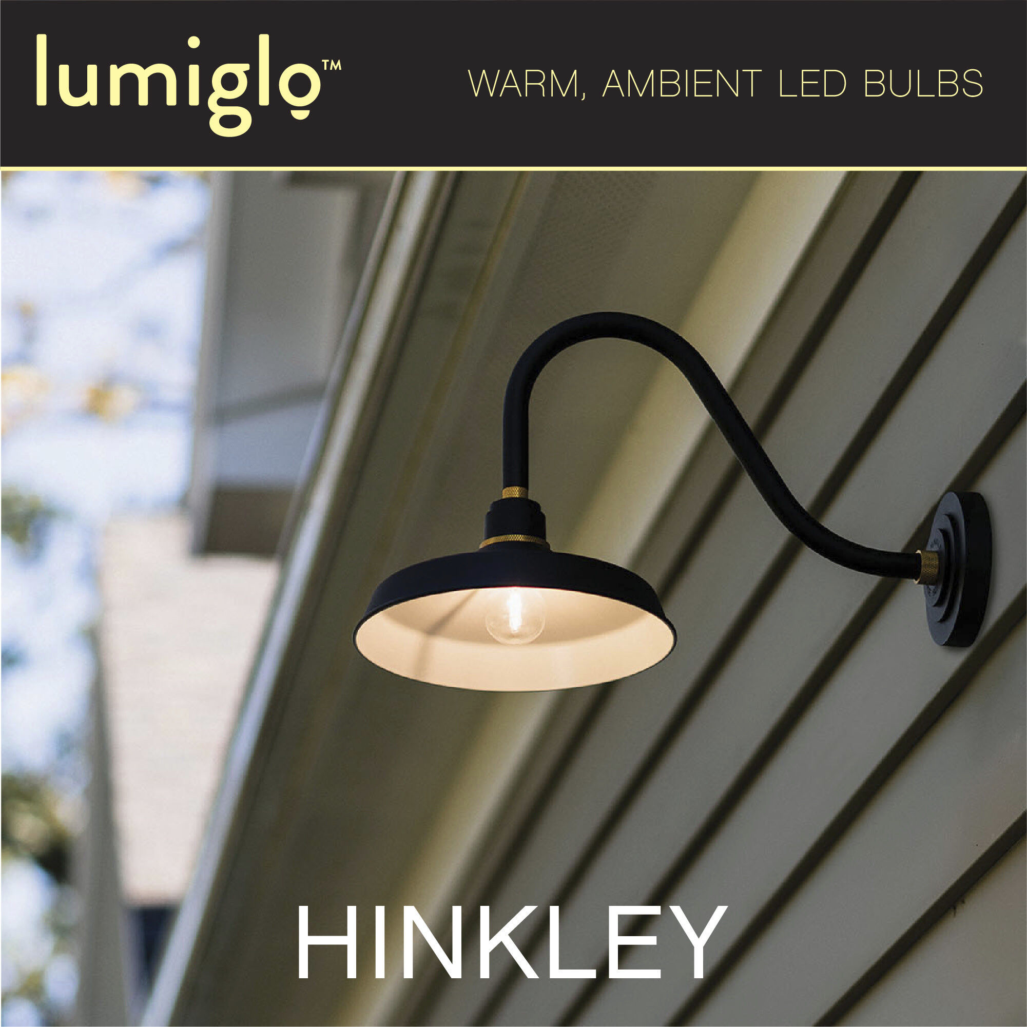 LumiGlo Med. 2.00 watt 120v 2700 LED Bulb in Matte White