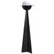 Saturn 65 inch 25.00 watt Matte Black Floor Lamp Portable Light
