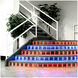 InvisiLED Black 12 inch Tape Light in 12in